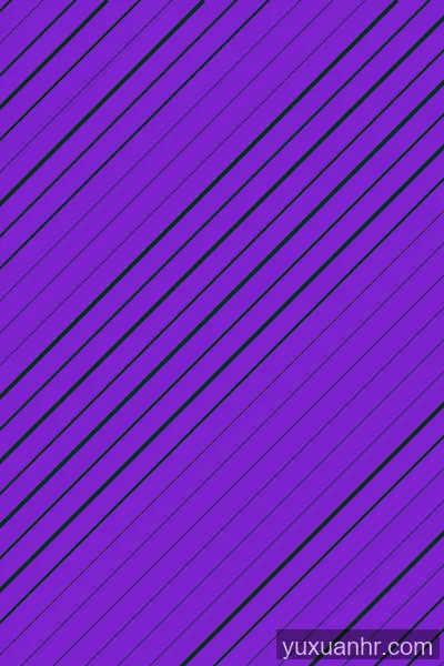 APP预览
